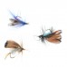 Gohantee 12Pcs/Set Insects Flies Fly Fishing Lures Bait High Carbon Steel Hook Fish Tackle With Super Sharpened Crank Hook Perfect Decoy